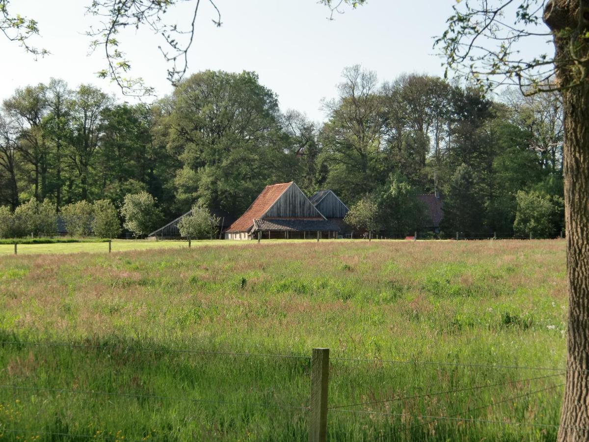 't Buitenverblijf Erve Punte Losser Exterior foto