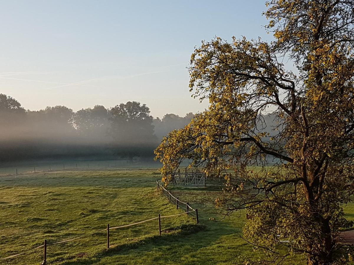 Bed and Breakfast 't Buitenverblijf Erve Punte Losser Exterior foto