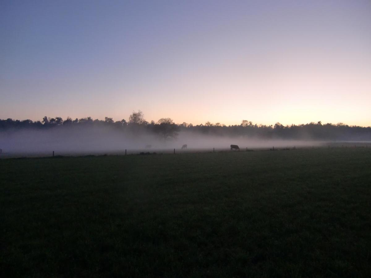 't Buitenverblijf Erve Punte Losser Exterior foto