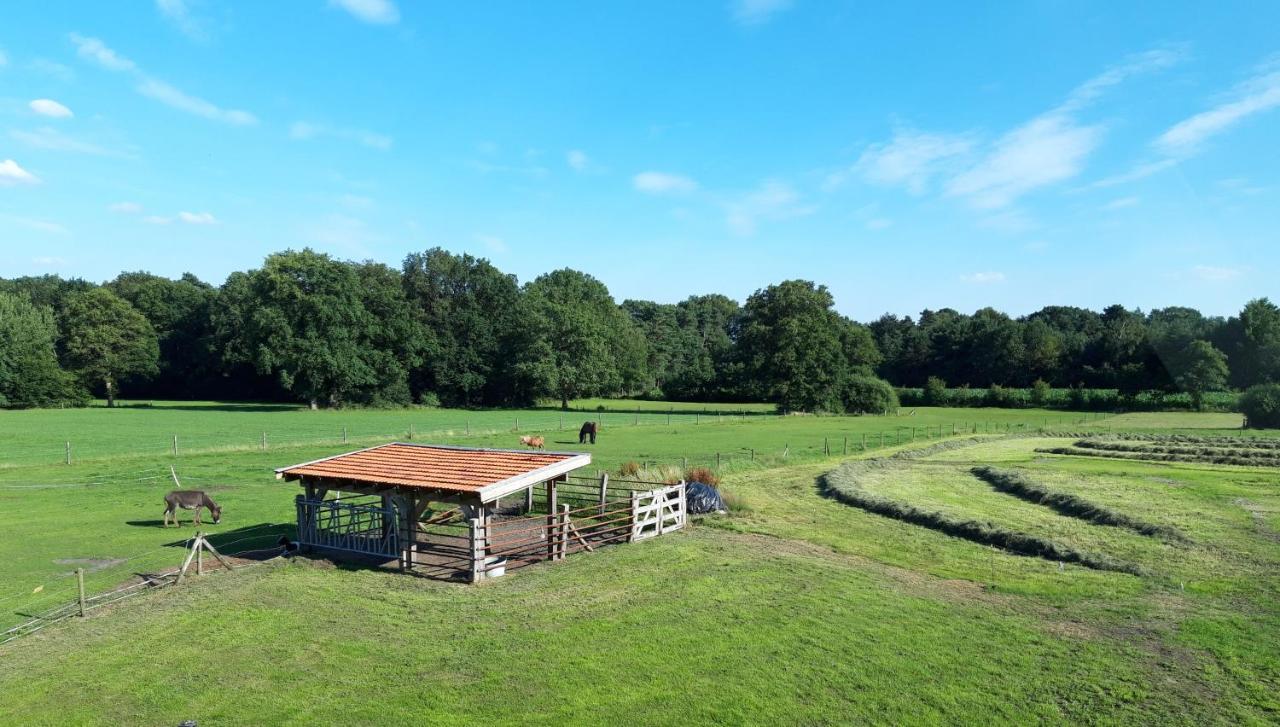 't Buitenverblijf Erve Punte Losser Exterior foto